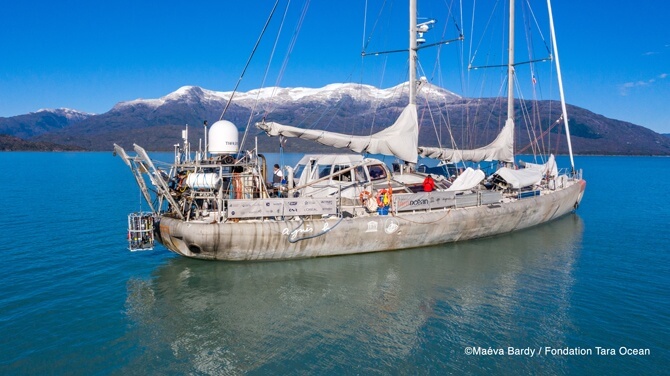 Instagram Live On Board Tara