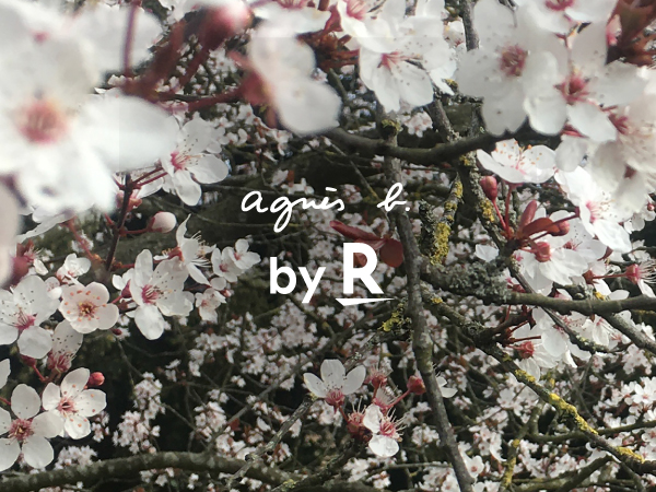 �y�V�uby R�v�v���W�F�N�g��ʂ��ē����Ń����E�F�C�V���[���J��